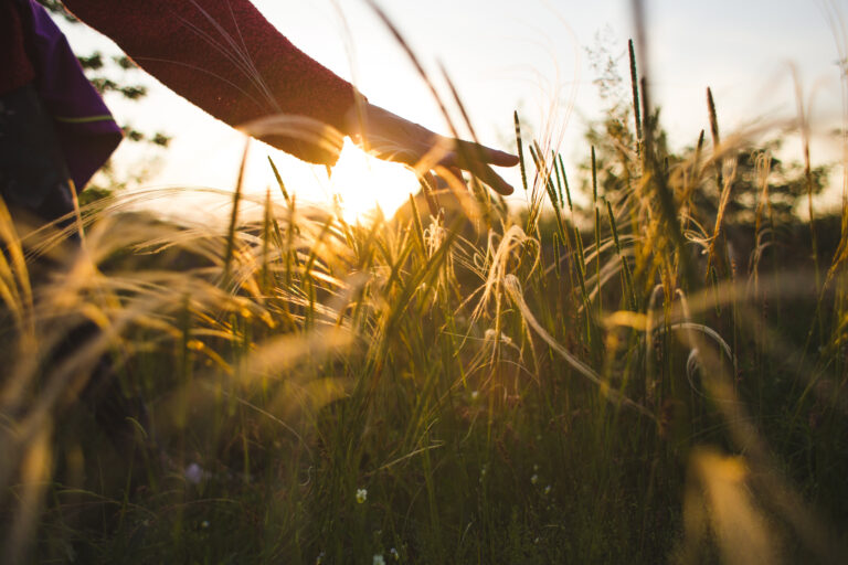 Therapy for families, children, and teens in Banbury
