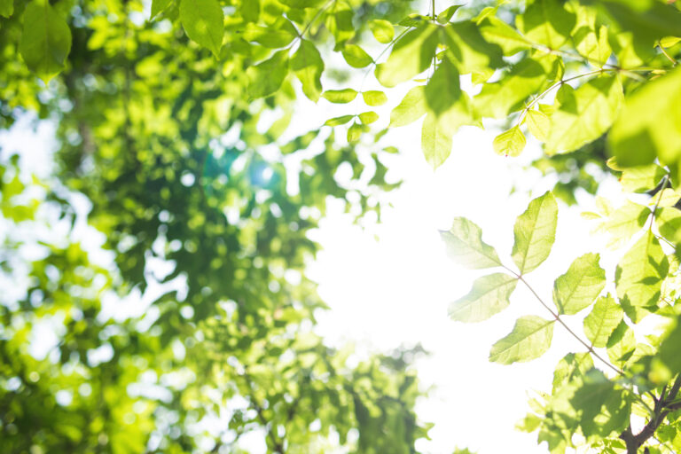Trauma-informed therapy services in Banbury